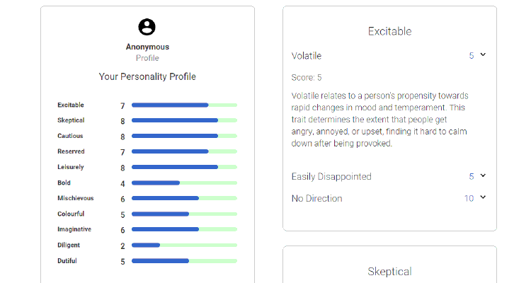 personality profile results