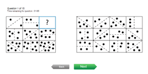 Critical thinking test sample