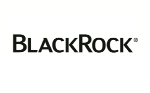 blackrock icon